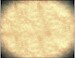 Woodgrain decal 'Fine veneer Plywood' USCHI1005