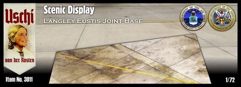 Scenic Display "Langley Austis Joint base" USCHI3019