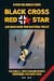 Black Cross Red Star - Air War over the Eastern Front volume 2: Two turning points : December 1941 – May 1942 (limited reprint)