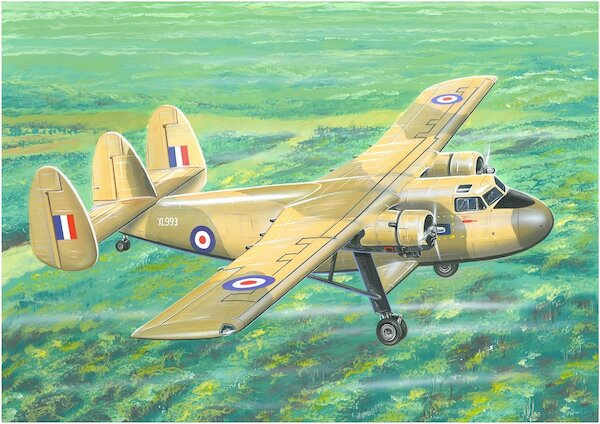 Scottish Aviation Twin Pioneer (RAF Southwest Asia) 72138