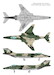 RF101C Voodoo  VAL14439