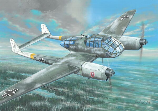 Focke-Wulf Fw 189A-2 (Winter Camouflage)  VAL14445