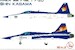 Northrop F5/ tiger  F20 Tigershark Area 88 Shin kasama VMD48005
