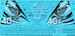 F5E Tiger (40th Ann Special markings Royal Thai AF "Lo-Vis"  VMS0332002