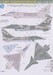 J10CE Vigorous Dragon (Pakistan AF) VMS087201