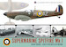 Supermarine Spitfire Mk1, in RAF service 1936 - Battle of Britain