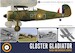 Gloster Gladiator in RAF and Overseas Service 