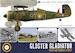 Gloster Gladiator in RAF and Overseas Service