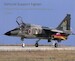 Samurai Support Fighter, The Mitsubishi F-1 in Japan Air Self-Defense Force squadron service SAMURAI