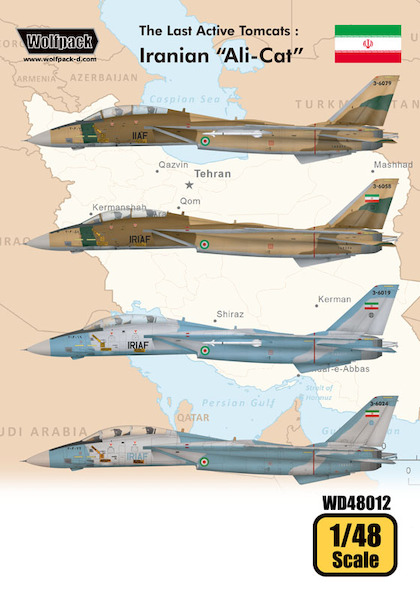 The Last Active Tomcats - Iranian "Alicat"  WD48012