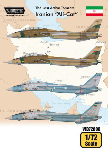 The Last Active Tomcats - Iranian "Alicat"  WD72008