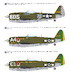 Republic P47D Thunderbolt "MTO" WP14812