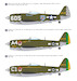 Republic P47D Thunderbolt "MTO"  WP14812