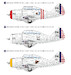 Seversky P35 (USAAC Pursuit Fighter) WP14814