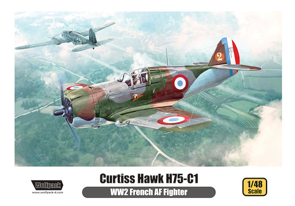 Curtiss Hawk H75-C-1 "WW2 French AF Fighter"  WP14815