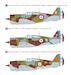 Curtiss Hawk H75-C-1 "WW2 French AF Fighter"  WP14815