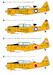 T6G Texan "American Single engined trainer" WP17207