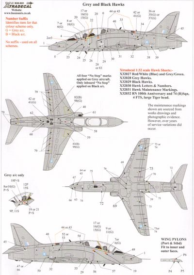 BAe Hawk T1 Maintenance markings for AC in Grey and Black  x32039