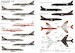 Hawker Hunter F6 (12sq,56sq,78sq,74sq,208sq,111sq)  X48033