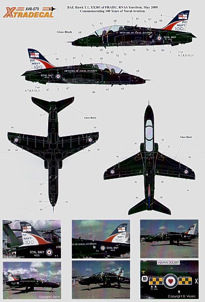 BAe Hawk T1 2009 100 years of Naval Aviation (RAF74rsq, 10rsq, 208rsq) X48079