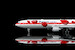 McDonnell Douglas MD11F Martinair Cargo PH-MCU Flaps Down  YY1113F