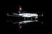 McDonnell Douglas MD11F Lufthansa Cargo "100 years of aviation cargo" D-ALCC  YY1116