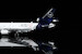 McDonnell Douglas MD11F Lufthansa Cargo "Final flight" D-ALCC Flaps down YY1117F
