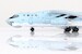 Ilyushin IL76 PLAAF 21042 YY760302