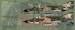 F-4E Phantoms part 2  ZTZ32-064