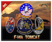 F-14 Tomcats part 1