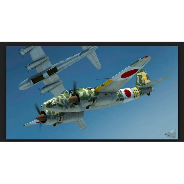 Kawasaki Ki45 Kai Tei "Toryu"(BACK IN STOCK)  13