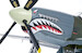 North American P51D/K Mustang IV (BACK IN STOCK)  9
